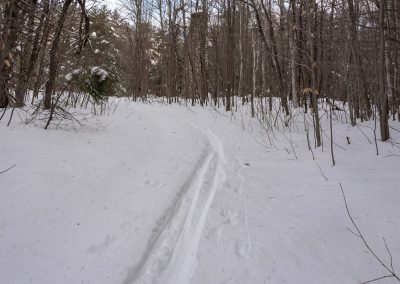 Cross Country Ski Trail