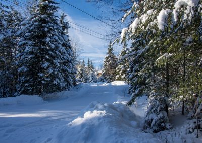 Wintry road