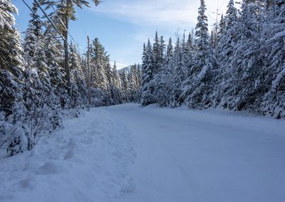 Wintry road